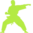Verified martial arts school results icon