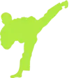 Proven martial arts growth system icon